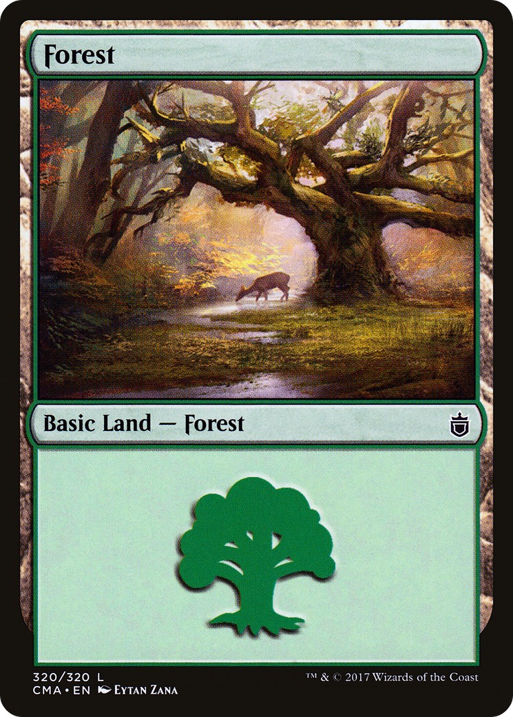 Forest - Image 1