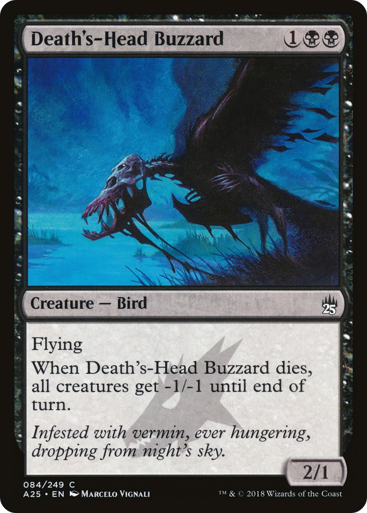 Death's-Head Buzzard - Image 1