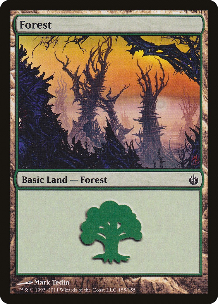 Forest - Image 1