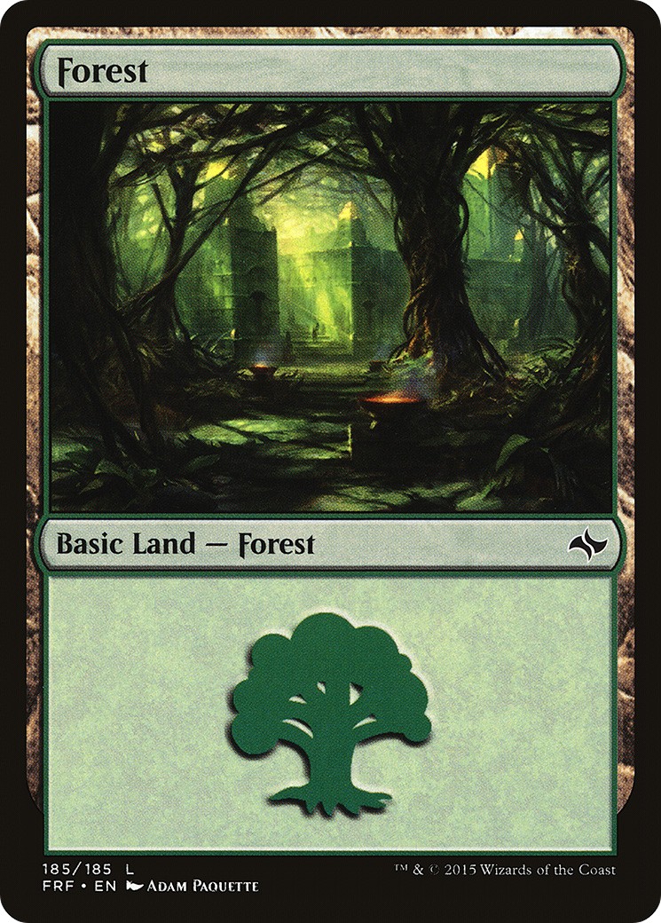 Forest - Image 1