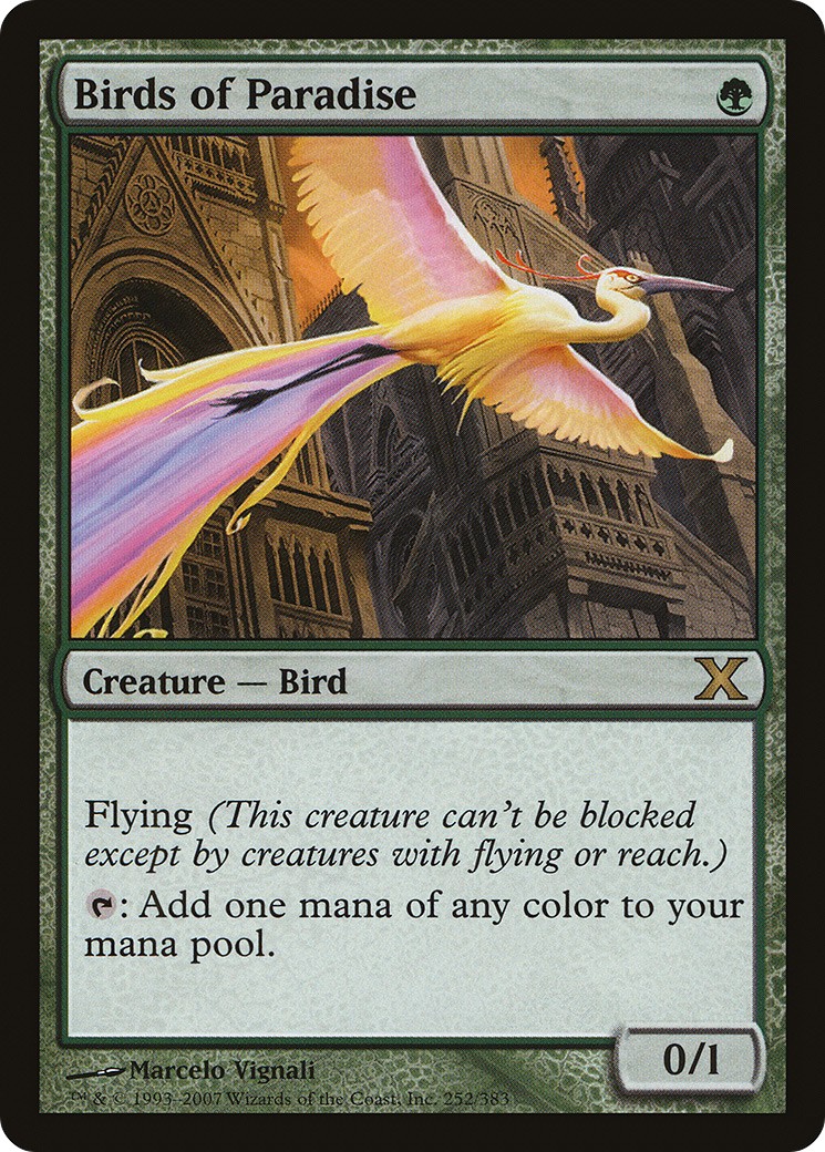 2007 Magic: The Gathering Tenth Edition 2007 Magic: The Gathering Tenth Edition #252 trading card