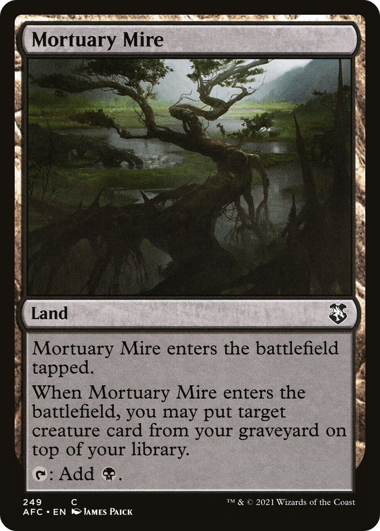 2021 Magic: The Gathering Forgotten Realms 2021 Magic: The Gathering Forgotten Realms #249 trading card