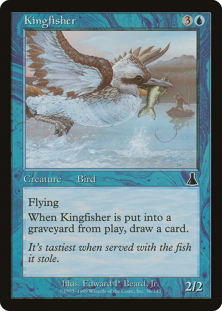 Kingfisher - Image 1