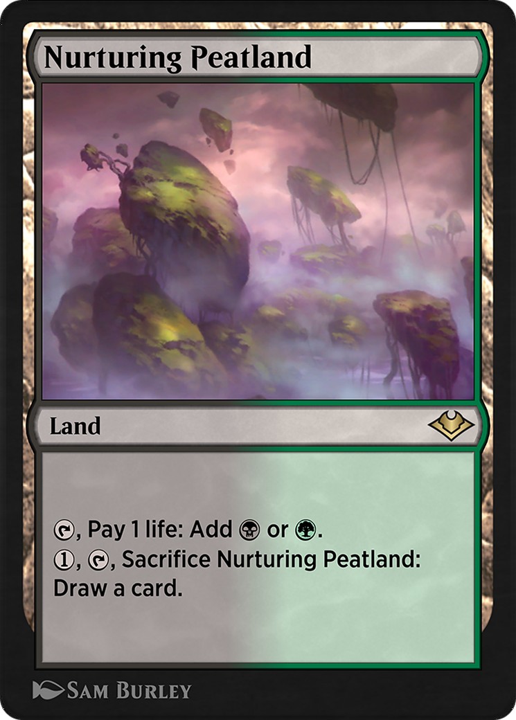 Nurturing Peatland - Image 1