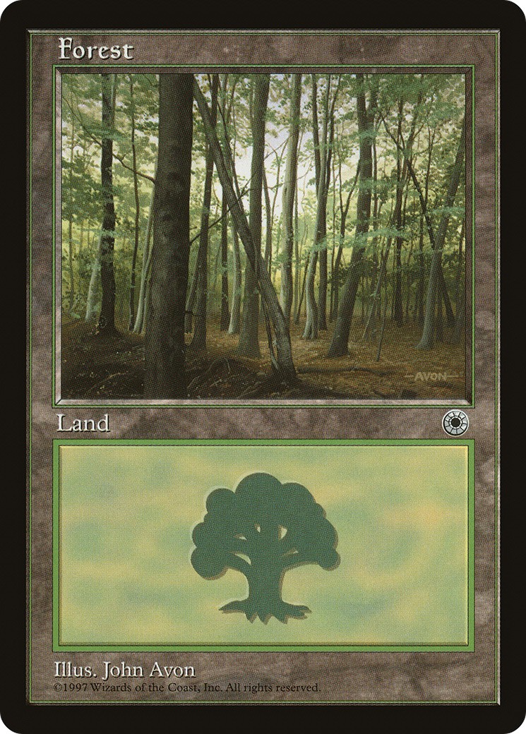 Forest - Image 1