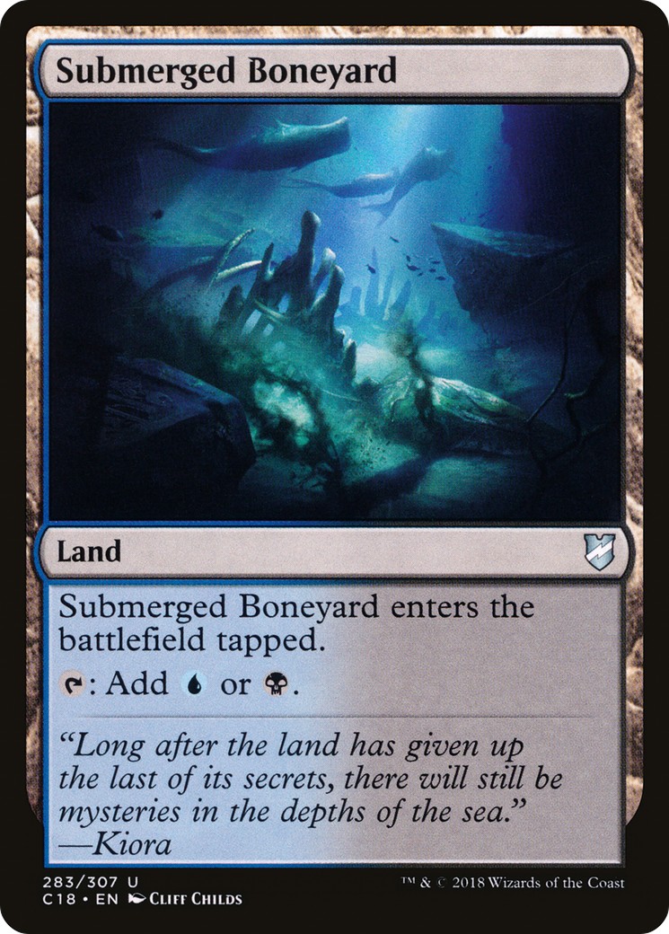 Submerged Boneyard - Image 1