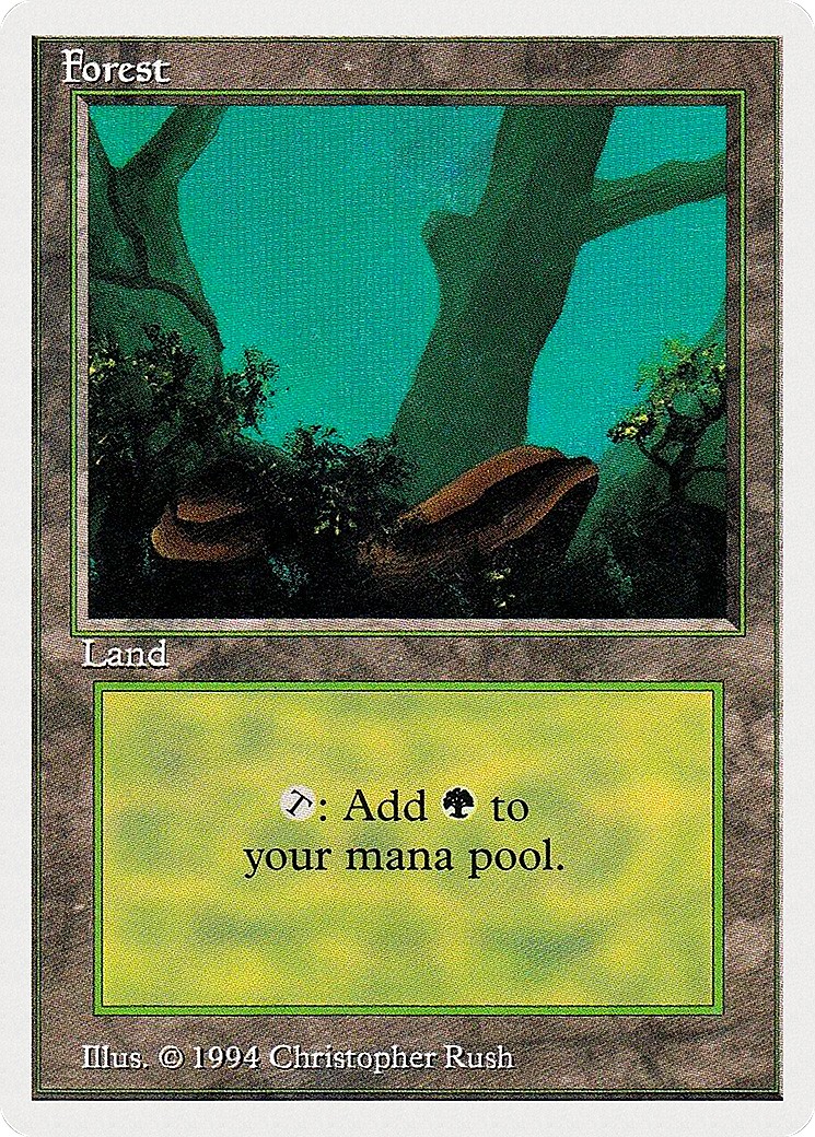 Forest - Image 1