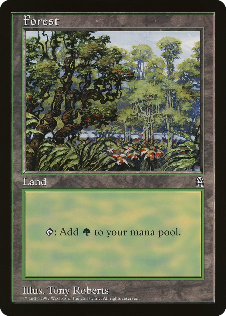Forest - Image 1