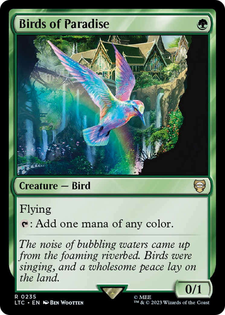 Birds of Paradise - Image 1