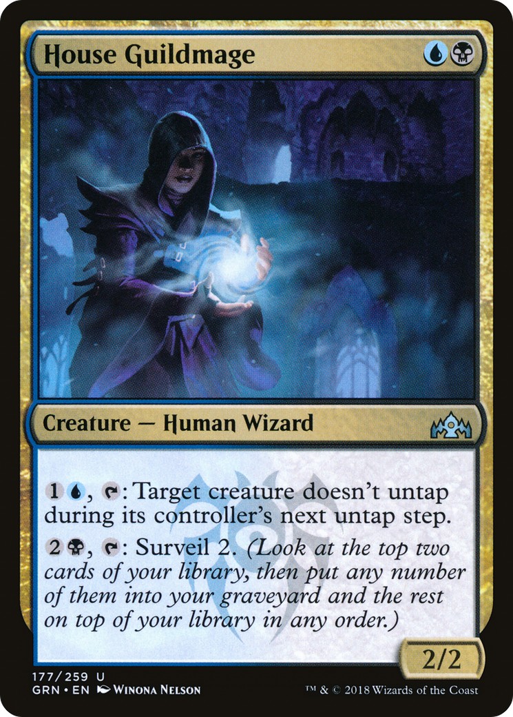 House Guildmage - Image 1