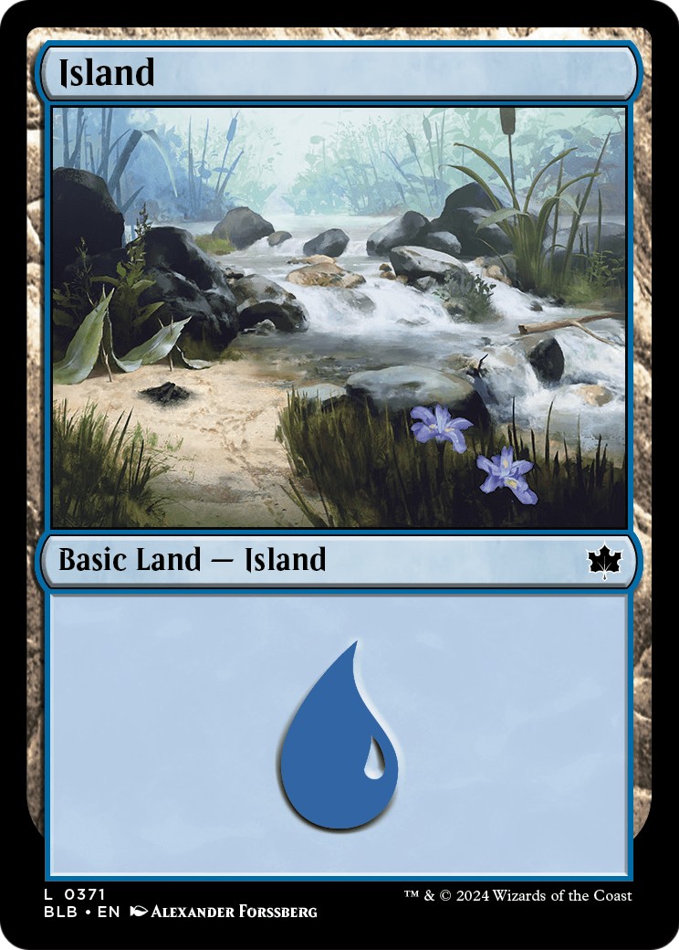 Island - Image 1