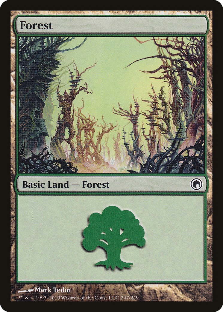 Forest - Image 1