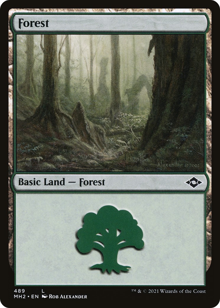 Forest - Image 1