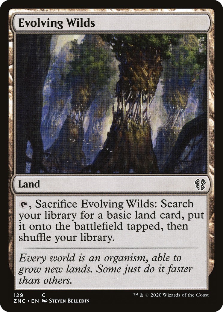 Evolving Wilds - Image 1