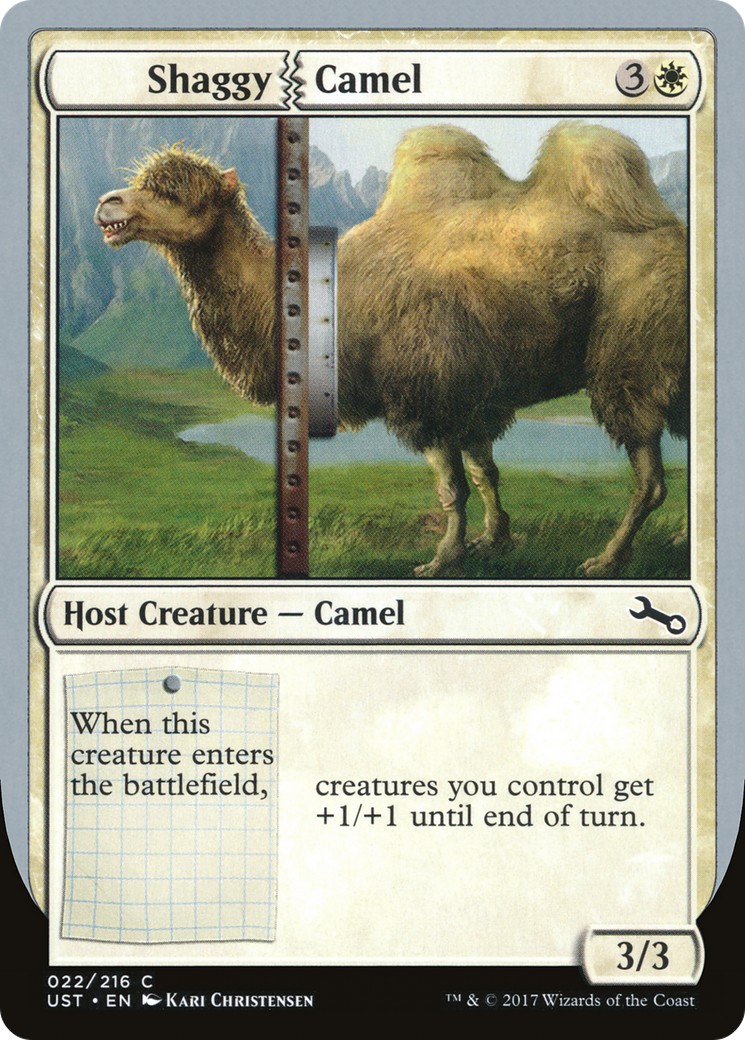 Shaggy Camel - Image 1
