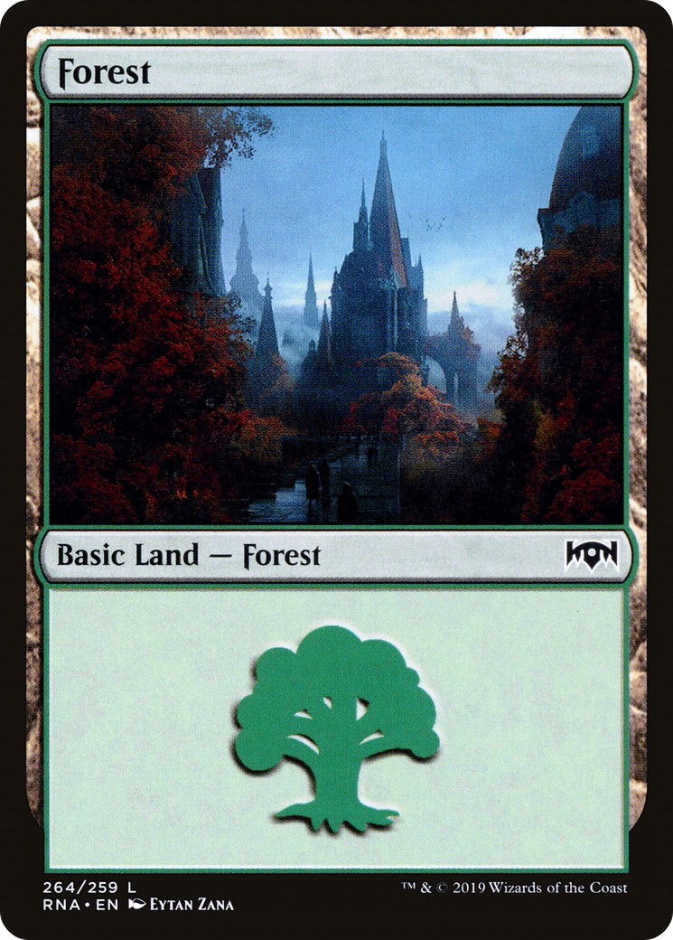 Forest - Image 1