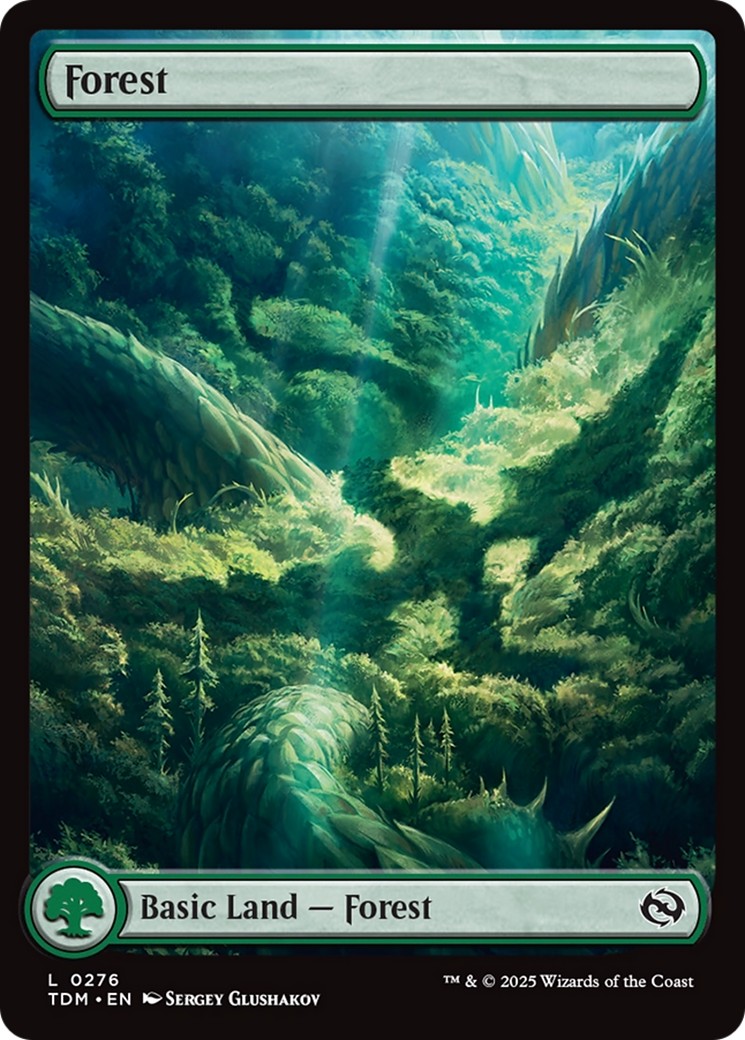Forest - Image 1