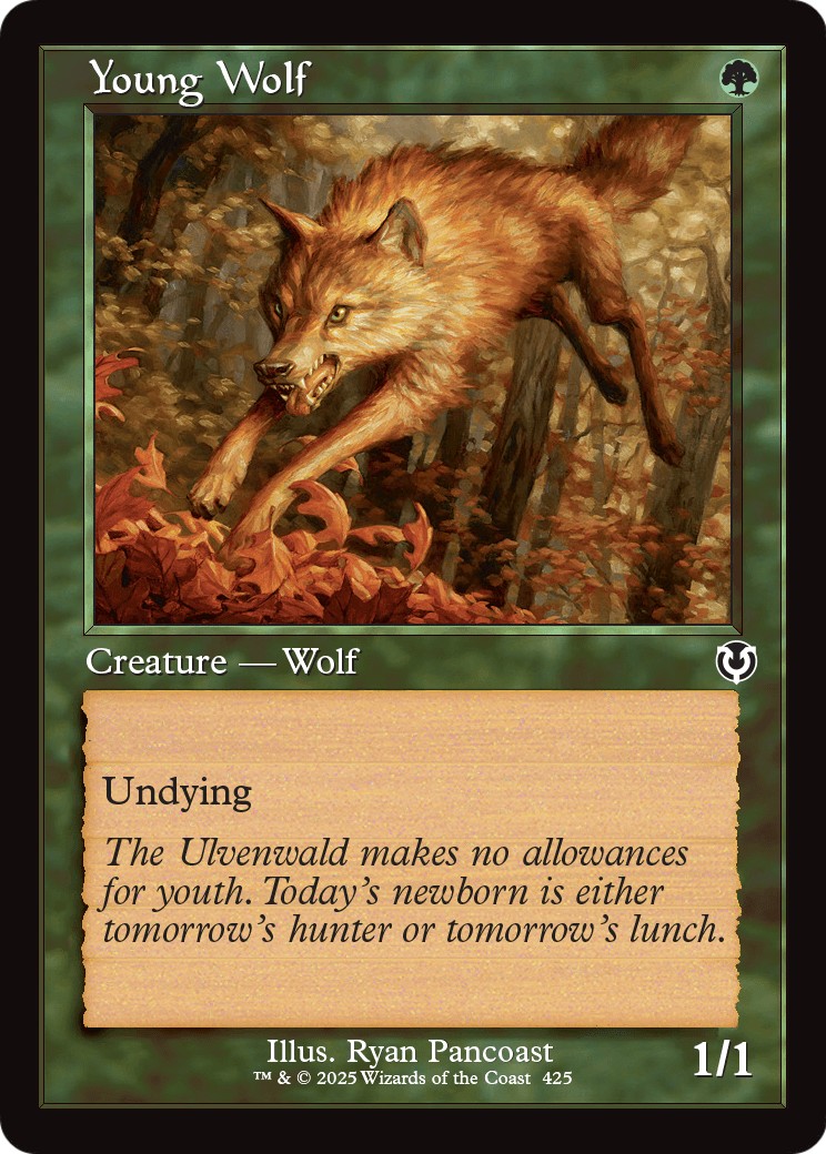 Young Wolf - Image 1