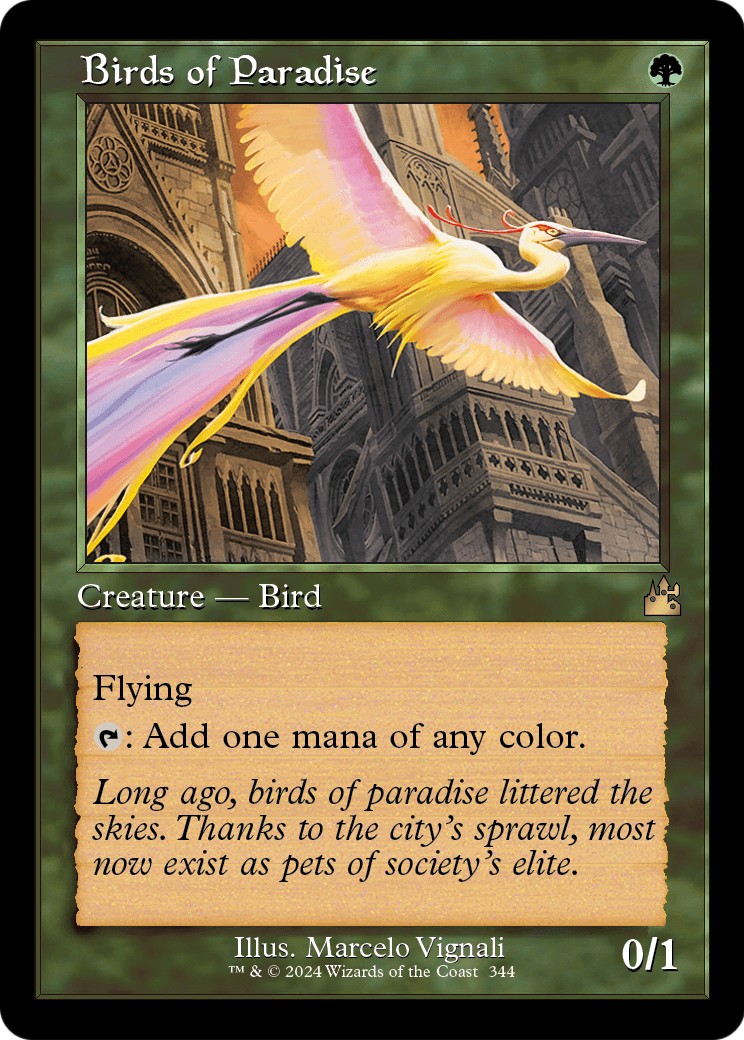 Birds of Paradise - Image 1