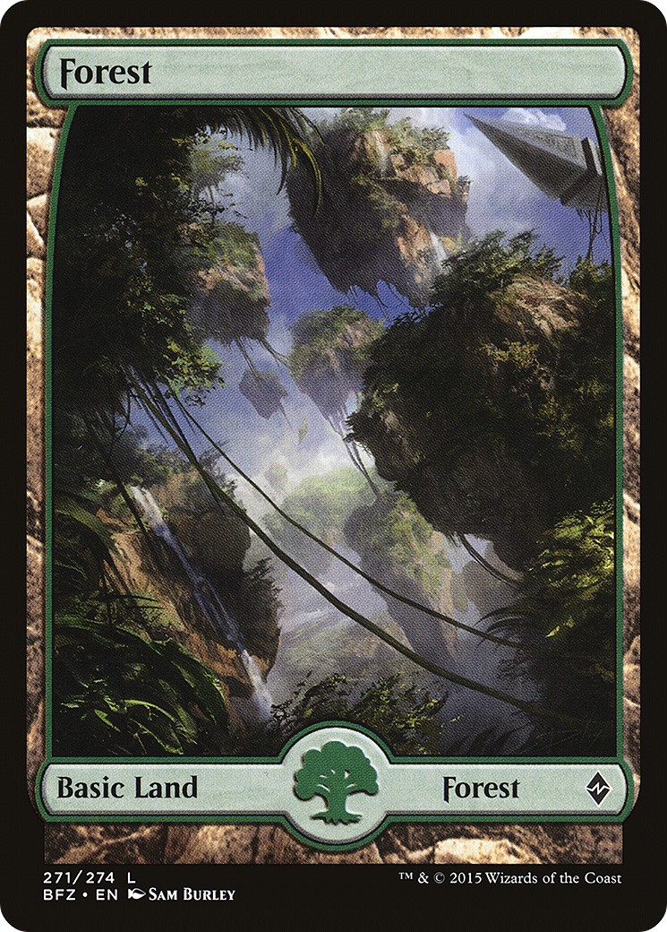 Forest - Image 1