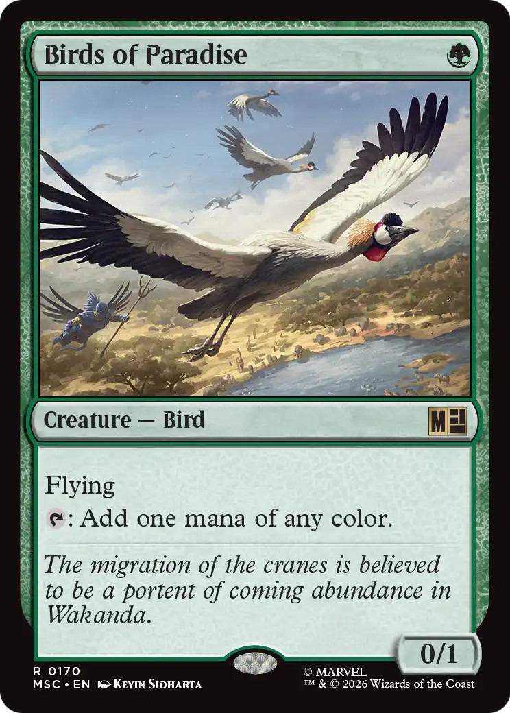 Birds of Paradise - Image 1