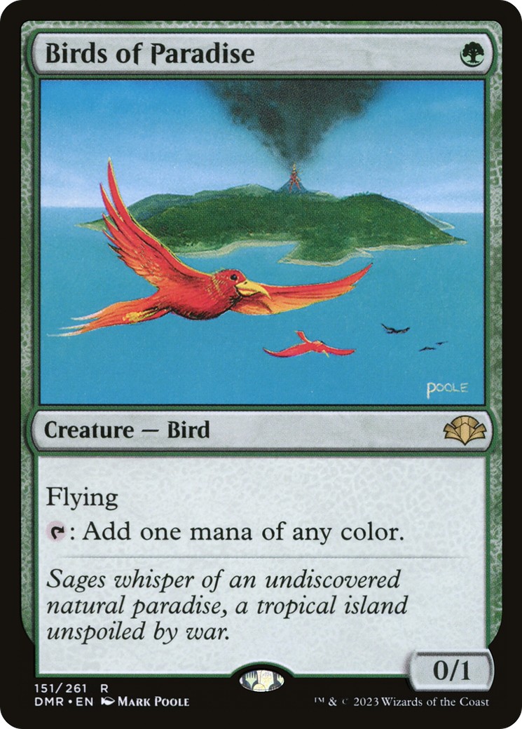 Birds of Paradise - Image 1