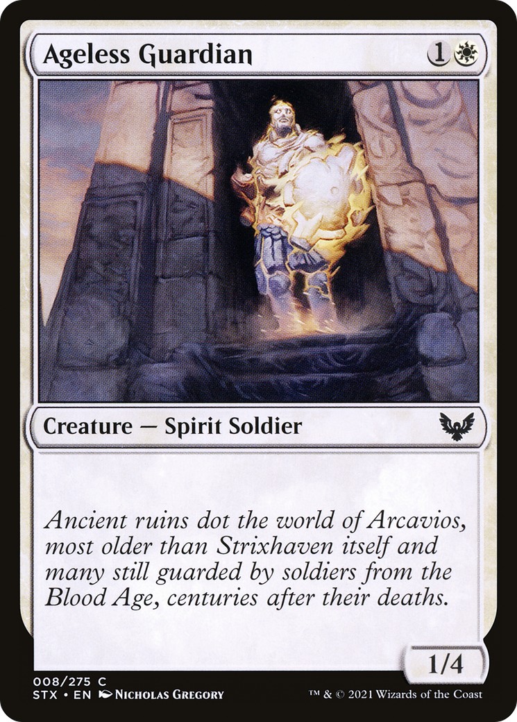 Ageless Guardian - Image 1