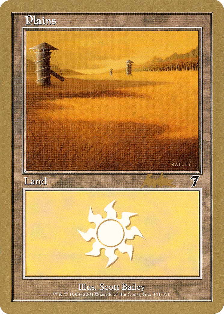 Plains - Image 1