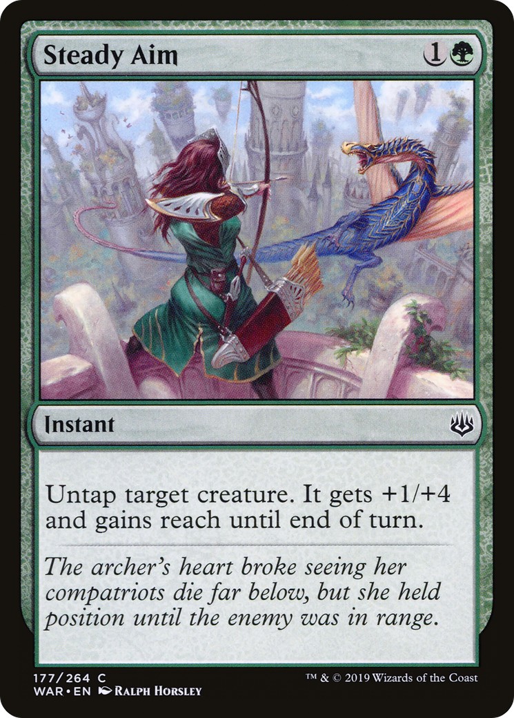 Steady Aim - Image 1