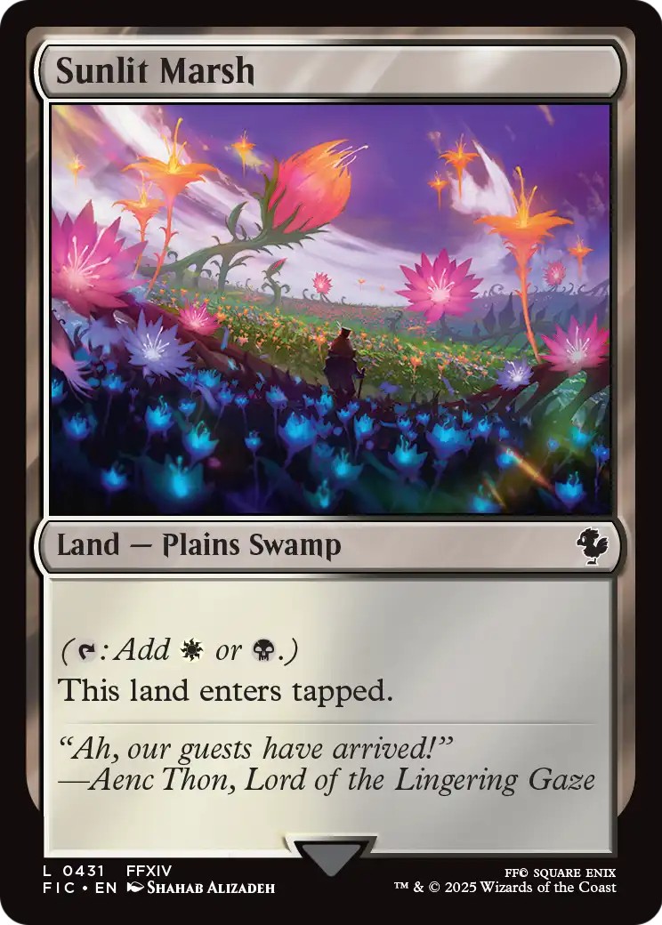 Sunlit Marsh - Image 1