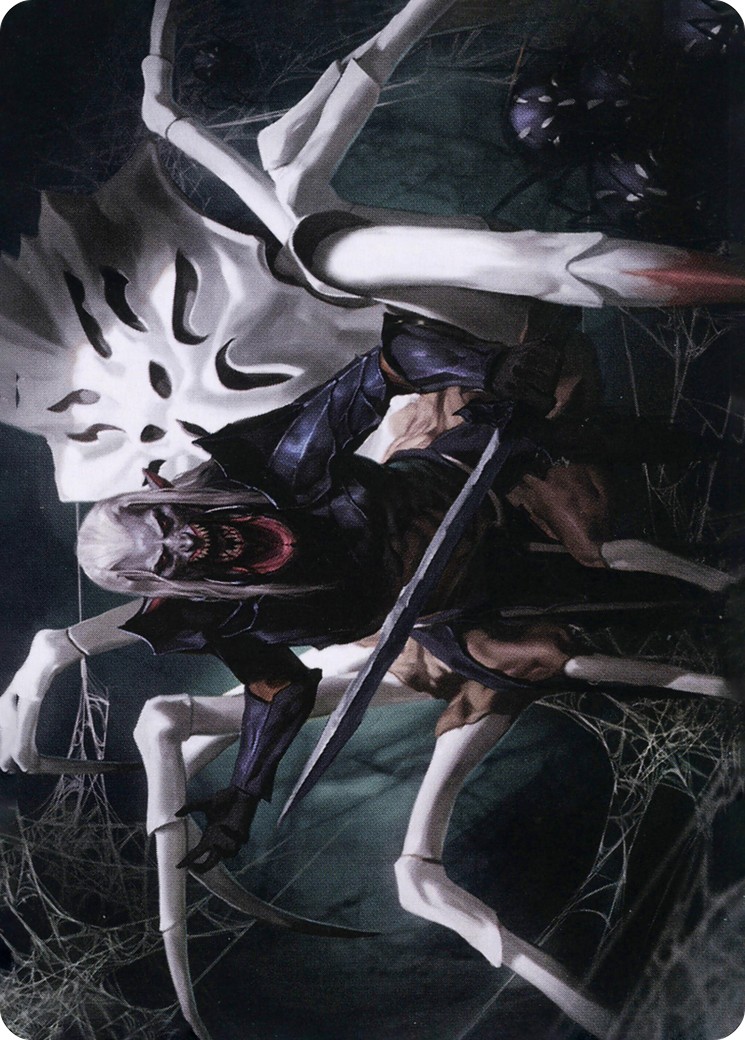 Drider // Drider - Image 1