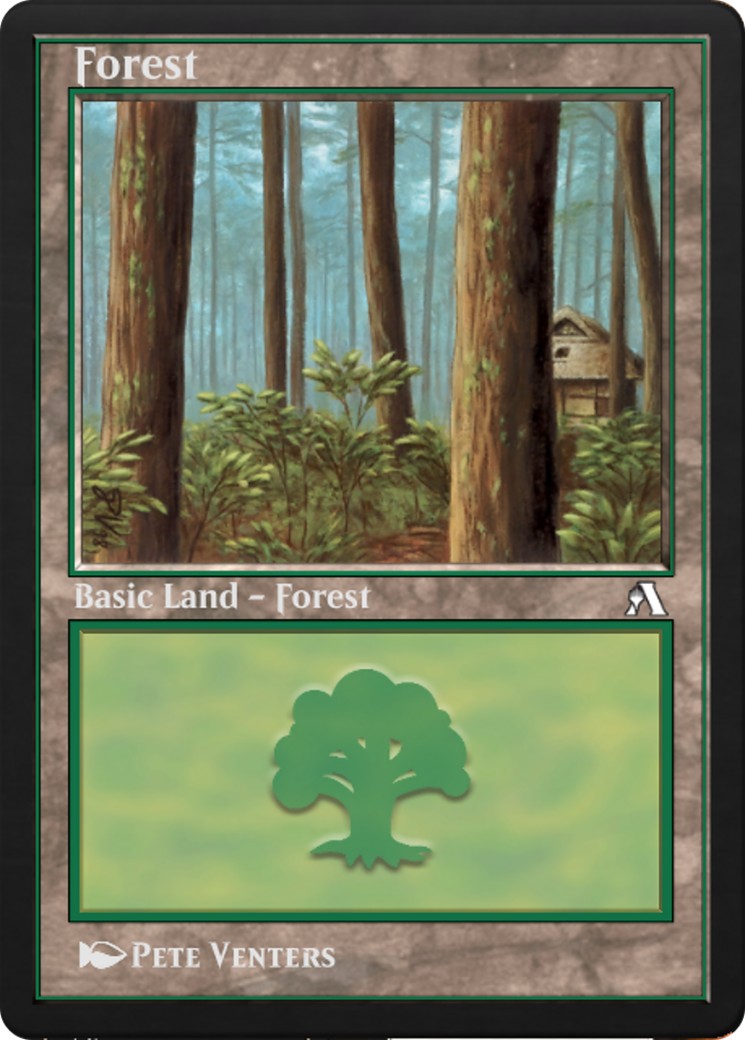 Forest - Image 1