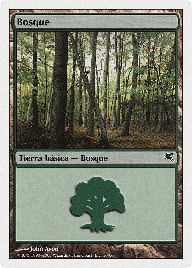 Forest - Image 1