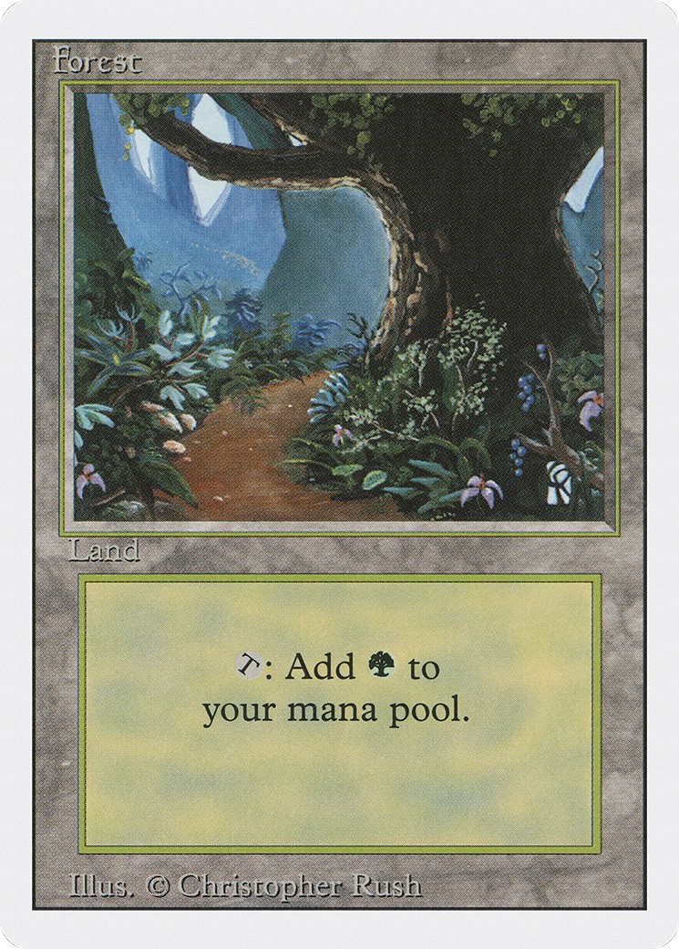 Forest - Image 1