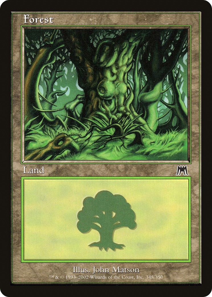 Forest - Image 1