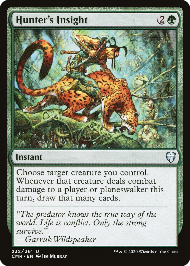 Hunter's Insight - Image 1