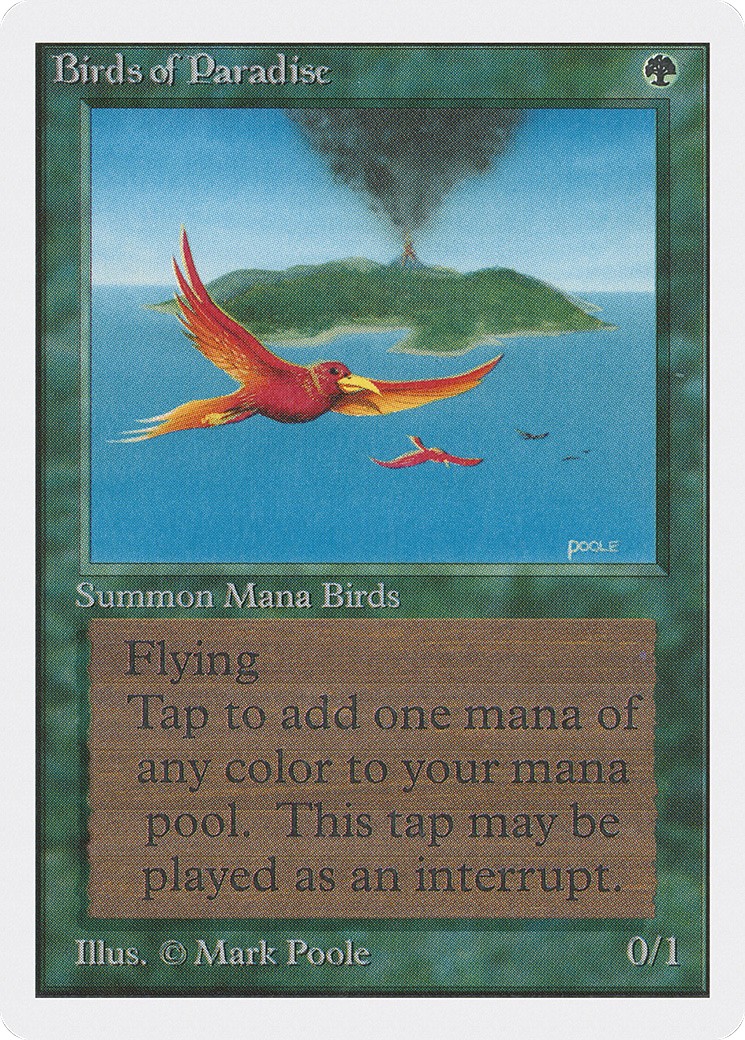Birds of Paradise - Image 1