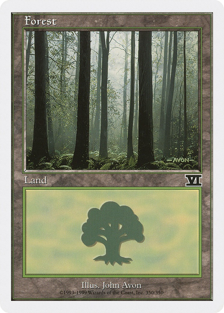 Forest - Image 1