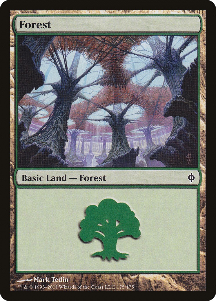 Forest - Image 1