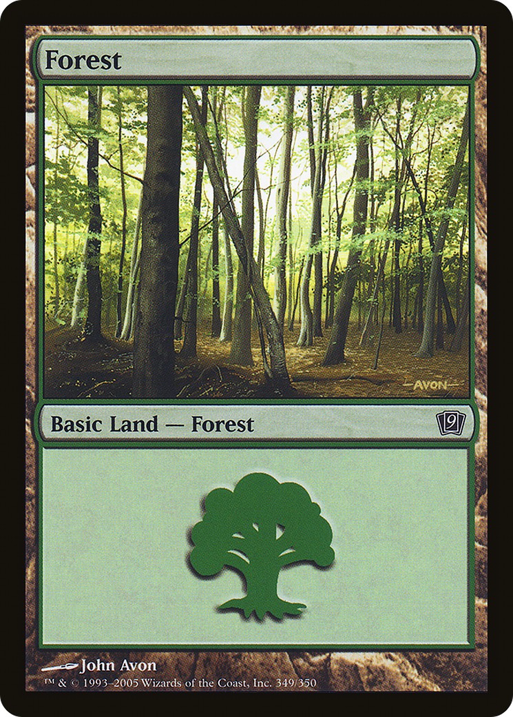 Forest - Image 1