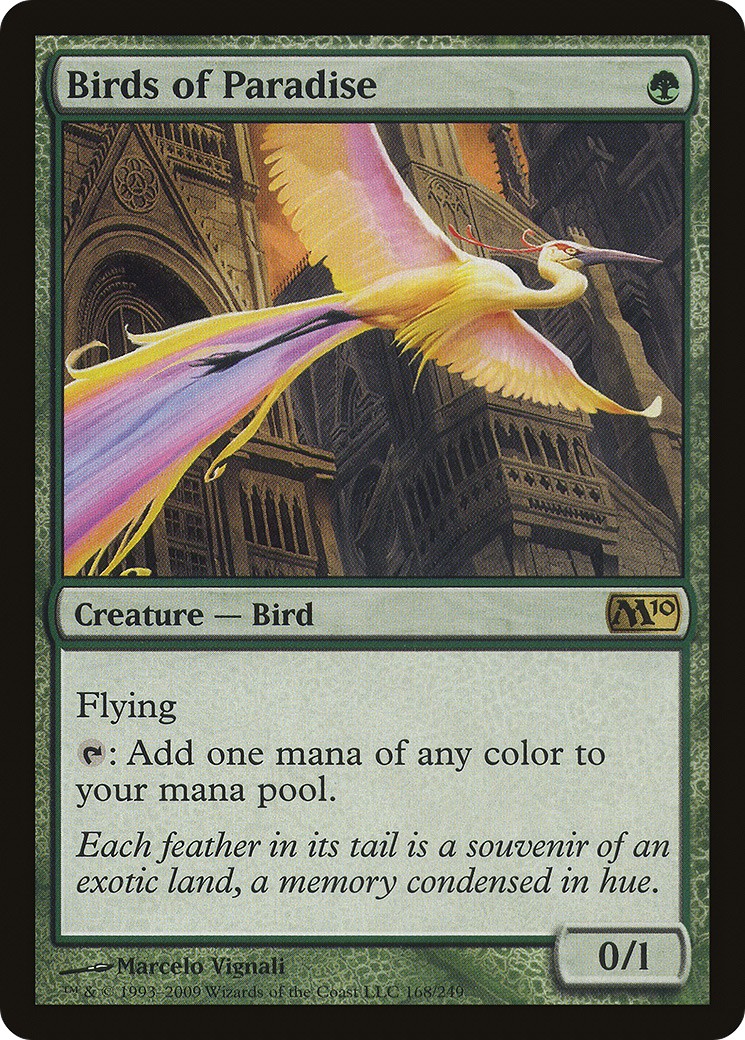 Birds of Paradise - Image 1