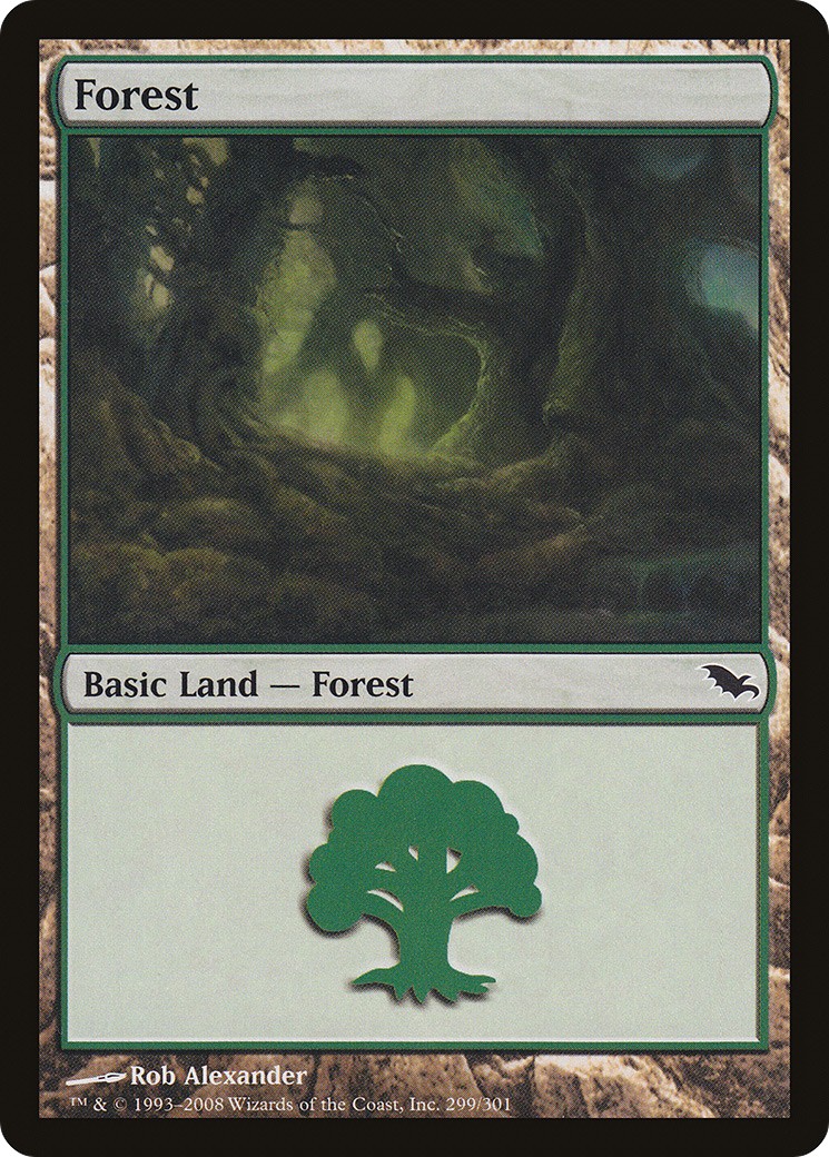Forest - Image 1
