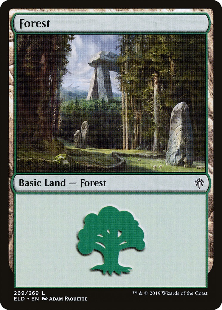 Forest - Image 1