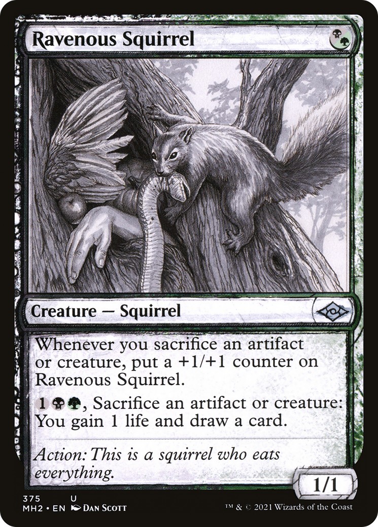 Ravenous Squirrel - Image 1