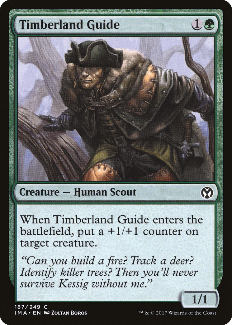 Timberland Guide - Image 1