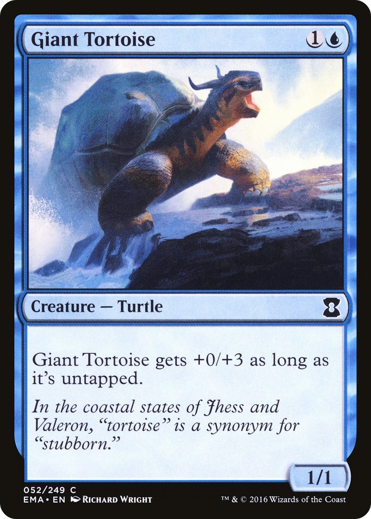 Giant Tortoise - Image 1