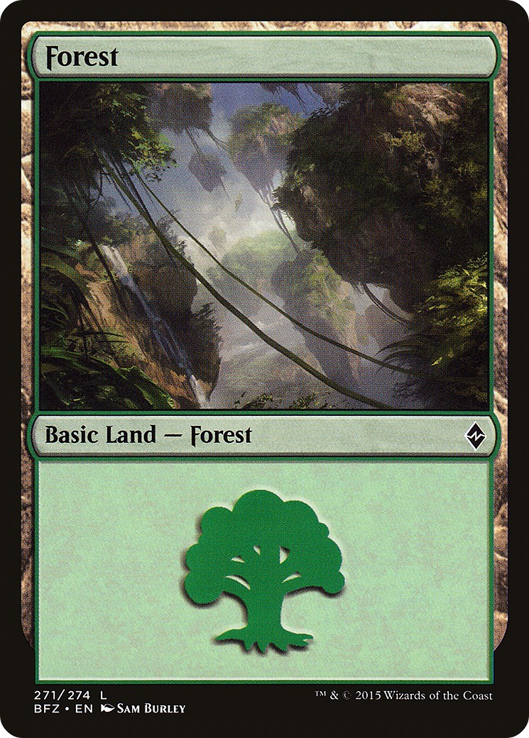 Forest - Image 1