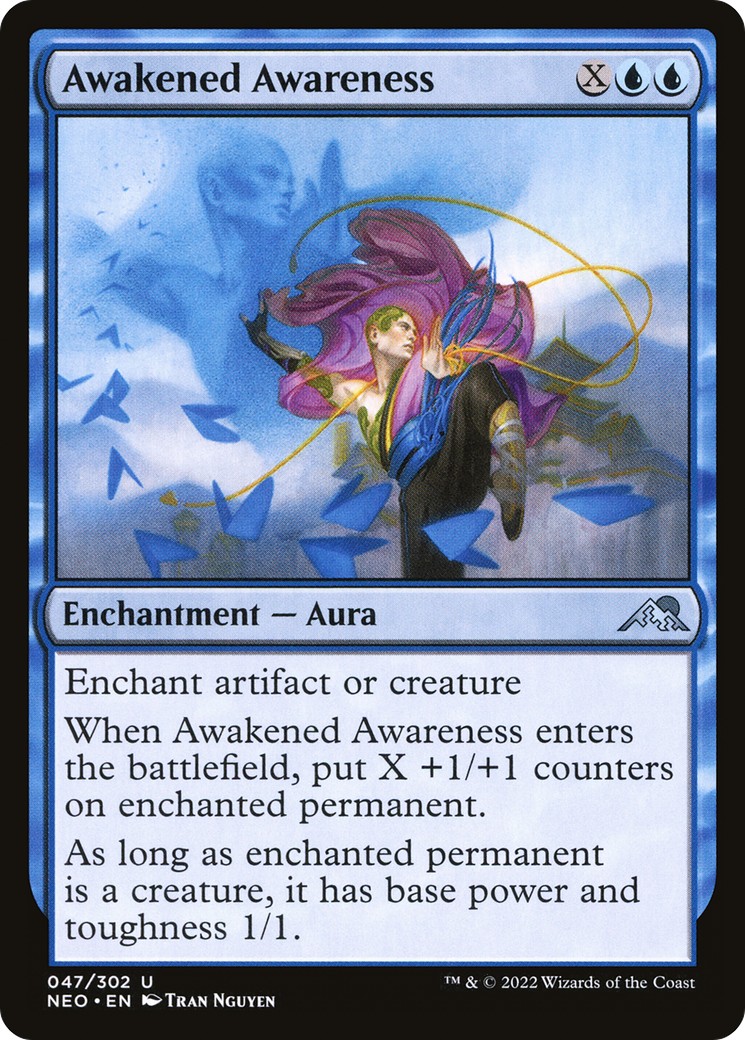Awakened Awareness - Image 1