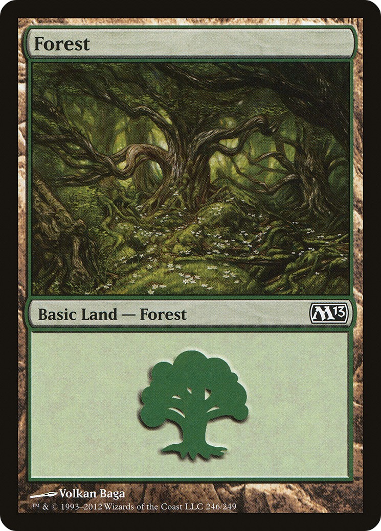 Forest - Image 1