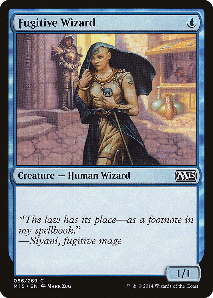 Fugitive Wizard - Image 1